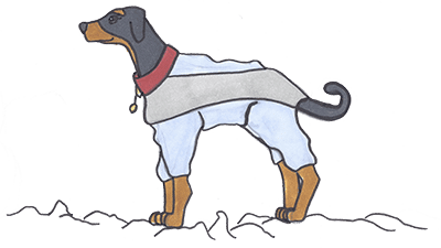 Le manteau pour chien pour éviter l'hypothermie