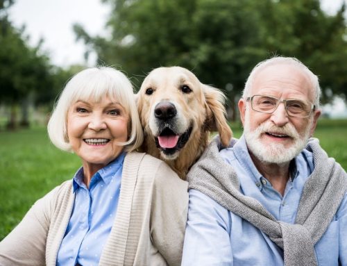 Les avantages de la relation entre les chiens et les personnes âgées